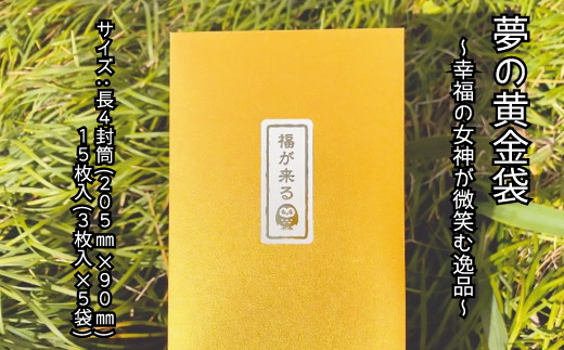 ̉ 15 `K̏_΂ވi`Qls5000G݁Epi[