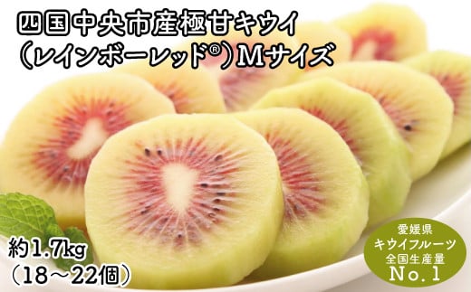 <10月下旬以降発送>【ぽぽ農園】レインボーレッドキウイ(四国中央市産レインボーレッド) M サイズ 約1.7kg(18個〜22個)愛媛県四国中央市27000果物・フルーツその他 果物・フルーツ