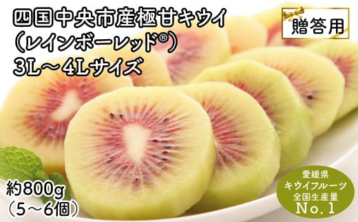<10月下旬以降発送>【ぽぽ農園】【お歳暮・贈答用・黒箱】レインボーレッドキウイ(四国中央市産レインボーレッド)3L〜4Lサイズ 約800g(約5〜6個)愛媛県四国中央市32000果物・フルーツ