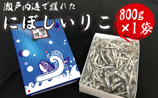 ɂڂ肱Qls8000ECY̑ ECY