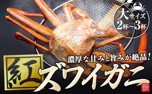 【復興支援】紅ズワイガ二・大サイズ石川県能登町24000魚介・海産物カニ