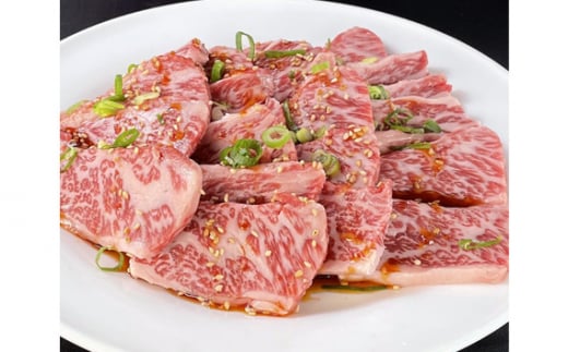 【ブランド牛】田原牛のタレ付き特選上カルビ500g / 牛肉 BBQ 愛知県 産地直送 田原市 渥美半島愛知県田原市22000肉牛肉