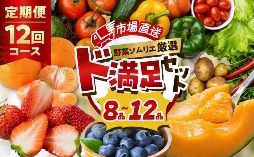 【12回定期便】 旬の野菜 フルーツ 詰め合わせ 8品〜12品 セット 旬 野菜ソムリエ 厳選 野菜セット フルーツ メロン いちご トマト アスパラガス トウモロコシ 玉ねぎ 国産 人気 ランキング