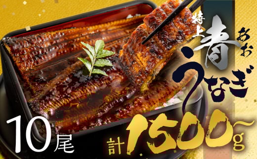 【すぐにお届け/冷凍】厳選 高級 青うなぎ 10尾 蒲焼 1500g愛知県田原市50000魚介・海産物うなぎ