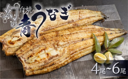 【冷蔵】厳選 高級 青うなぎ 白焼 4尾 600g愛知県田原市23000魚介・海産物うなぎ