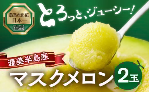 7月中お届け 先行予約 渥美半島産 マルカ農園のマスクメロン 2玉 (1玉1.5kg以上) めろん 箱詰め フルーツ 果物 田原市 産地直送 夏 12000円愛知県田原市12000果物・フルーツメロン・スイカ