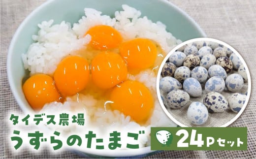 田原市産 うずらの卵 10玉入り×24パック タイデスうずら 鶉 ウズラ たまご 240個 クウェールコスモス 愛知県 田原市 国産 渥美半島 18000円愛知県田原市18000卵・乳製品卵(鶏、烏骨鶏等)