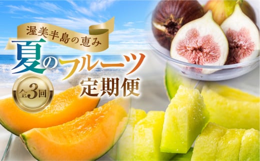 先行予約 2026年発送 渥美半島の恵み 夏のフルーツ 定期便 3回 ( タカミレッド / いちじく / マスクメロン) 果物 旬 めろん イチジク 夏 夏季 人気 愛知県 田原市 40000円 頒布会愛知県田原市40000