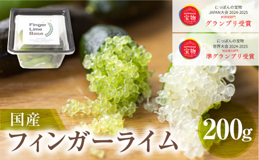 先行予約 フィンガーライムアソート 果実 200g 詰め合せ 品種お任せ フィンガーライム愛知県田原市25000果物・フルーツみかん・柑橘類