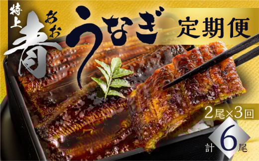 厳選 高級 青うなぎ 蒲焼 2尾 全3回 定期便 合計6尾 ( うなぎ うなぎ定期便 3回 3 定期  3ヶ月 3ヵ月 3か月 36000円 )愛知県田原市36000魚介・海産物うなぎ