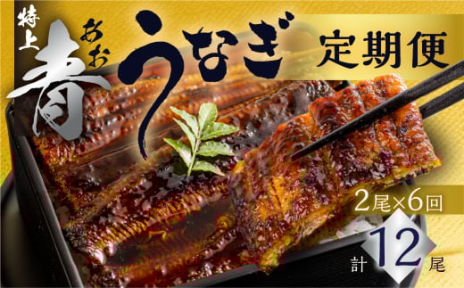 厳選 高級 青うなぎ 蒲焼 2尾 全6回 定期便 合計12尾  ( うなぎ うなぎ定期便 6回 6 定期  6ヶ月 6ヵ月 6か月 半年 72000円 )愛知県田原市72000魚介・海産物うなぎ