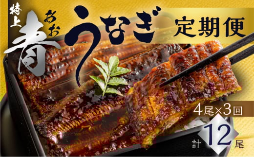 厳選 高級 青うなぎ 蒲焼 4尾 全3回 定期便 合計12尾  ( うなぎ うなぎ定期便 3回 3 定期  3ヶ月 3ヵ月 3か月 69000円 )愛知県田原市69000魚介・海産物うなぎ