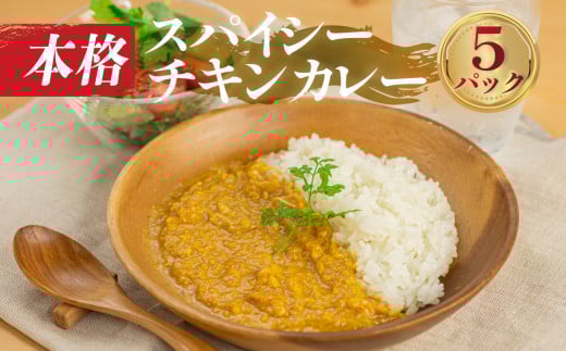 本格 簡単調理 スパイシー チキンカレー 5袋愛知県田原市10000お茶・飲料コーヒー・紅茶