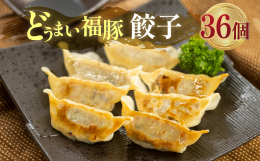 季節限定 5月〜12月発送 福豚餃子愛知県田原市10000お茶・飲料コーヒー・紅茶
