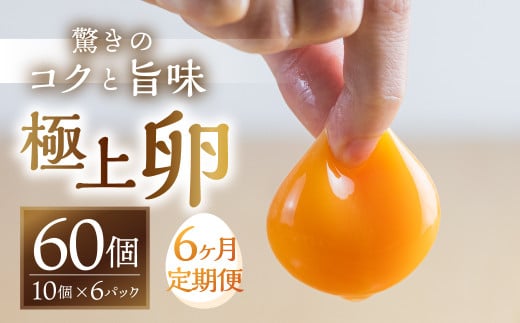 【6回お届け定期便】コク旨 極上卵 60 個 割れ保証付き 定期便 ( たまご 卵 毎月 6回 6ヵ月 6ヶ月 6か月 半年 ランキング )愛知県田原市60000卵・乳製品卵(鶏、烏骨鶏等)