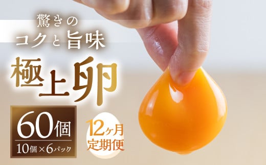 【12回お届け定期便】コク旨 極上卵 60 個 割れ保証付き 定期便 ( たまご 卵 毎月 12回 12ヶ月 12ヵ月 12か月 1年 60個 ランキング )愛知県田原市120000卵・乳製品卵(鶏、烏骨鶏等)