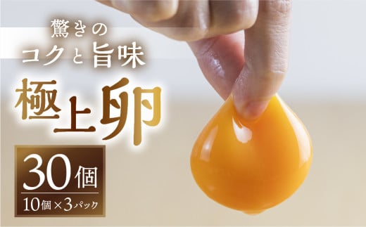 【感動の卵体験】 コク旨 極上卵 30個 割れ保証付き こだわり たまご 卵愛知県田原市6000卵・乳製品卵(鶏、烏骨鶏等)