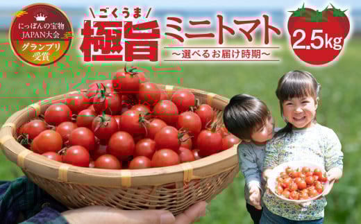 グランプリ受賞 完熟 出汁推し実 ミニトマト 2.5kg愛知県田原市17000野菜・きのこトマト