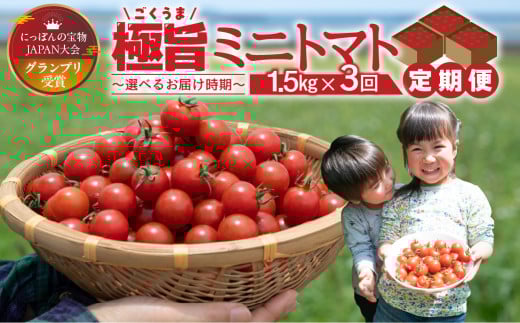 Ov n o` ~jg}g 1.5kg  3񂨓͂ֈmcs30000؁Êg}g