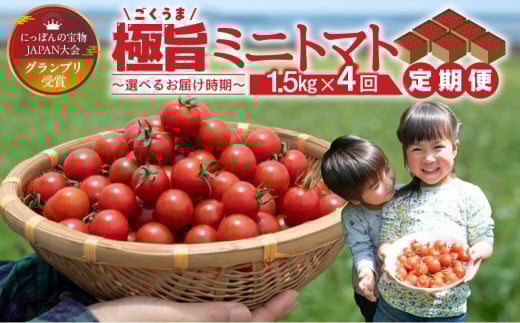 グランプリ受賞 完熟 出汁推し実 ミニトマト 1.5kg  4回お届け定期便愛知県田原市40000野菜・きのこトマト