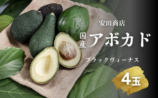 先行予約 国産 アボカド ブラックヴィーナス 4玉 田原アボカド 安田商店愛知県田原市16000野菜・きのこその他 野菜