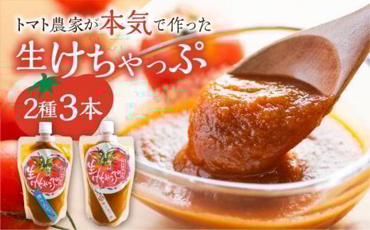 生けちゃっぷ 2種 3本セット ケチャップ 調味料 とまと トマト 素材 こだわり  12000円愛知県田原市12000鍋セット・総菜・加工食品その他 鍋セット・総菜・加工食品