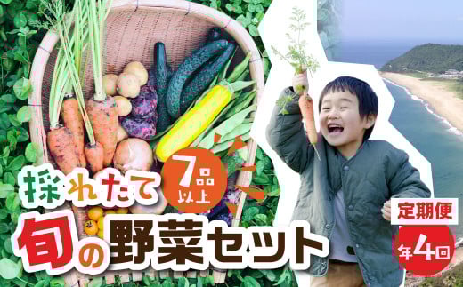 【年4回 定期便 】金賞受賞 旬彩野菜セット 旬の野菜 7品目以上 レシピ付き お届け 国産 新鮮 農薬不使用 化学肥料不使用 産地直送 こだわり野菜愛知県田原市48000野菜・きのこその他 野菜