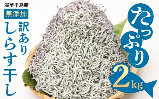 『田原市産』無選別 しらす 2kg 訳あり 不揃い しらす干し ごはんのお供 おつまみ 酒の肴 便利 家飲み しらす丼 グルメ 食品 田原市 魚 海鮮 シラス 白子 産地直送 11000円愛知県田原市11000魚介