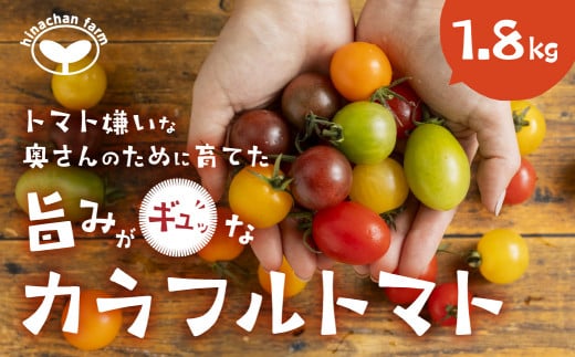 【先行予約】2025年発送 カラフルトマト 1.8kg愛知県田原市16000野菜・きのこトマト