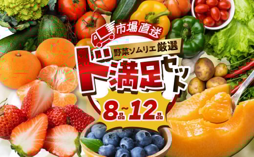 数量限定 旬の野菜 フルーツ 詰め合わせ 〜 12品 セット 旬 野菜ソムリエ 厳選 野菜セット フルーツ メロン いちご トマト アスパラガス トウモロコシ 玉ねぎ 国産 人気 ランキング やさい 野