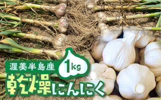 ≪先行予約≫ 訳あり 渥美半島産 ニンニク (乾燥)1kg 簡易包装 にんにく 国産にんにく 平戸にんにく 愛知県 田原市愛知県田原市12000野菜・きのこその他 野菜