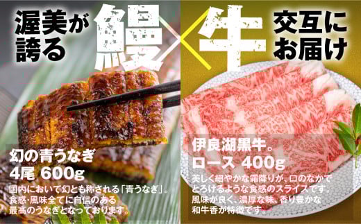 幻の青うなぎ&伊良湖黒牛。 堪能 定期便 3回お届け愛知県田原市69000魚介・海産物うなぎ