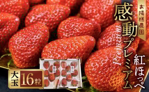 ys\z Z 嗱  gق v~A  8 2V[g 2͂ zl_ Yn m csYmcs19000ʕEt[c