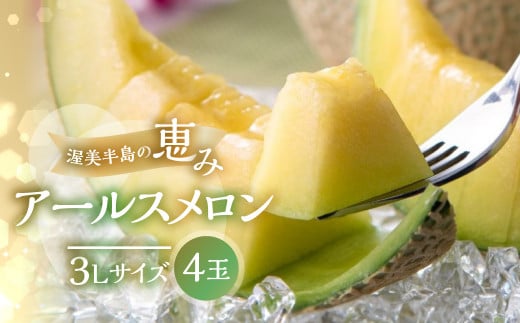 7月中お届け 日研農園 アールスメロン 3L×4玉入 【先行予約】  めろん フルーツ 果物 ジューシー 愛知県 特産品 産地直送 田原市 渥美半島愛知県田原市23000果物・フルーツメロン・スイカ