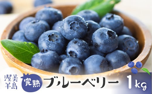 【先行予約】2026年4月~6月お届け 渥美半島 完熟ブルーベリー 1kg愛知県田原市20000果物・フルーツその他 果物・フルーツ