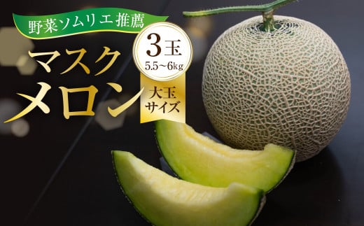 先行予約【8月中お届け】 数量限定 野菜ソムリエ推薦渥美半島伊良湖潮風育ちマスクメロン3玉大玉サイズ(5.5〜6キロ)カラーギフト箱入り  田原市 伊良湖産 ギフト プレゼント お取り寄せ 渥