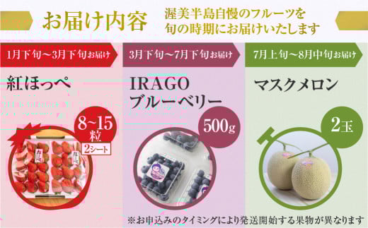渥美半島の恵み フルーツ 定期便 ( いちご / ブルーベリー / メロン ) 3回お届け愛知県田原市36000果物・フルーツいちご