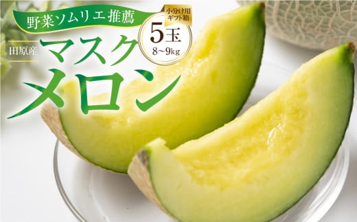先行予約 数量限定 野菜ソムリエ推薦渥美半島伊良湖潮風育ち厳選マスクメロン5玉(8〜9キロ)小分け用ギフト箱1箱付き  田原市 伊良湖産 ギフト プレゼント お取り寄せ 渥美半島 農家直送  280