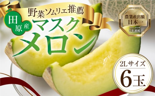 先行予約 数量限定 野菜ソムリエ推薦渥美半島伊良湖潮風育ち厳選マスクメロン6玉(8〜9キロ)小分け用ギフト箱1箱付き  田原市 伊良湖産 ギフト プレゼント お取り寄せ 渥美半島 農家直送  300