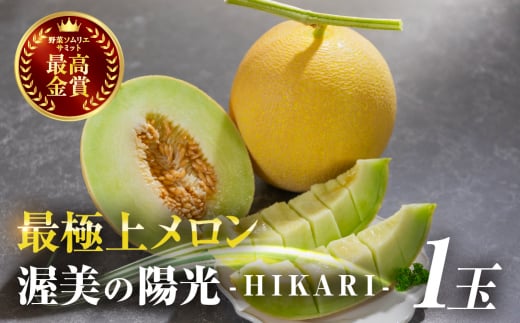2026年先行予約 極上メロン 渥美の陽光-HIKARI- めろん 果物 フルーツ 産地直送 愛知県 田原市愛知県田原市10000果物・フルーツメロン・スイカ