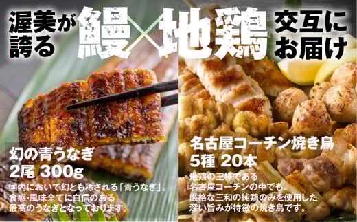 うな鶏定期便 12回定期便愛知県田原市144000魚介・海産物うなぎ