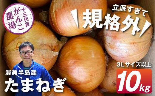がんこ玉ねぎ 10kg愛知県田原市9000野菜・きのこ玉ねぎ・ねぎ