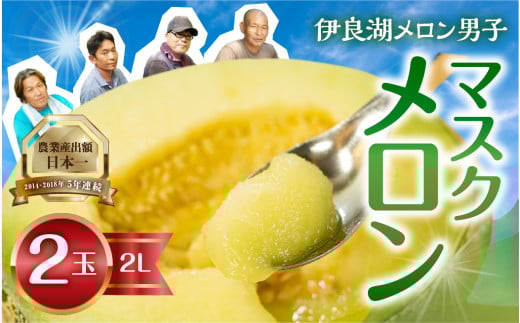 【6月下旬から7月お届け】 伊良湖産 マスクメロン 2玉 2Lサイズ 箱詰め メロン フルーツ 果物 お取り寄せ 渥美半島 田原市 産地直送愛知県田原市12000果物・フルーツメロン・スイカ