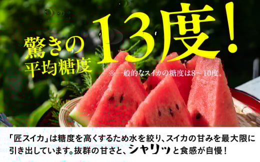 匠スイカ 先行予約 2玉 スイカ すいか 西瓜 夏 旬 匠 瓜フルーツ 果物 くだもの ギフト 田原市 渥美半島 ブランド甘い スイーツ スイカ愛知県田原市20000果物・フルーツメロン・スイカ