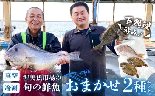 渥美魚市場の旬の鮮魚 おまかせ2種セット 下処理済み 魚セット 愛知県 田原市愛知県田原市14000魚介・海産物鮮魚