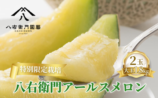 特別限定栽培 八右衛門アールスメロン 大玉1.8kg 2玉 (マスクメロン) 先行予約 メロン めろん 箱詰め フルーツ 果物 愛知県 田原市 6月 7月愛知県田原市18000果物・フルーツメロン・スイカ