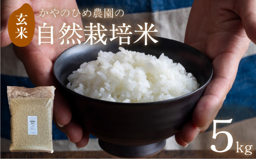 【先行予約】 かやのひめ農園 自然栽培米 【令和7年産】玄米 5kg  (コシヒカリ) 米 自然栽培 自家採種 農薬不使用 愛知県 田原市愛知県田原市12000米・パン玄米・雑穀米・もち米・餅