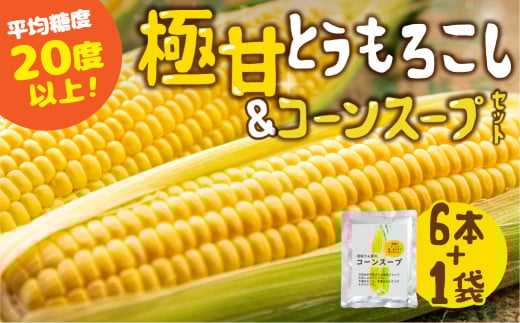 【夏採れお届け】 平均糖度20度以上 極甘とうもろこし 6本 + コーンスープ 鮮度保持袋入り愛知県田原市12000野菜・きのことうもろこし