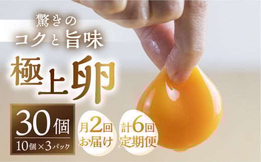 【月2回 隔週お届け定期便 計6回】コク旨 極上卵 30個 割れ保証付き 隔週 定期便 ( たまご 卵 毎月 6回 3ヶ月 3ヵ月 3か月 ランキング )愛知県田原市36000卵・乳製品卵(鶏、烏骨鶏等)