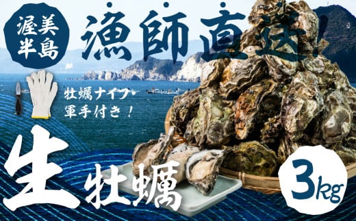 【先行予約】殻付き 生牡蠣 3kg 加熱用 軍手・牡蠣ナイフ付 牡蠣 カキ かき 生 殻付牡蠣 フライ 鍋 バーベキュー BBQ 海鮮 魚介 魚貝 貝 魚介類 新鮮 渥美半島 田原市 愛知県 国産 海産物 オイ